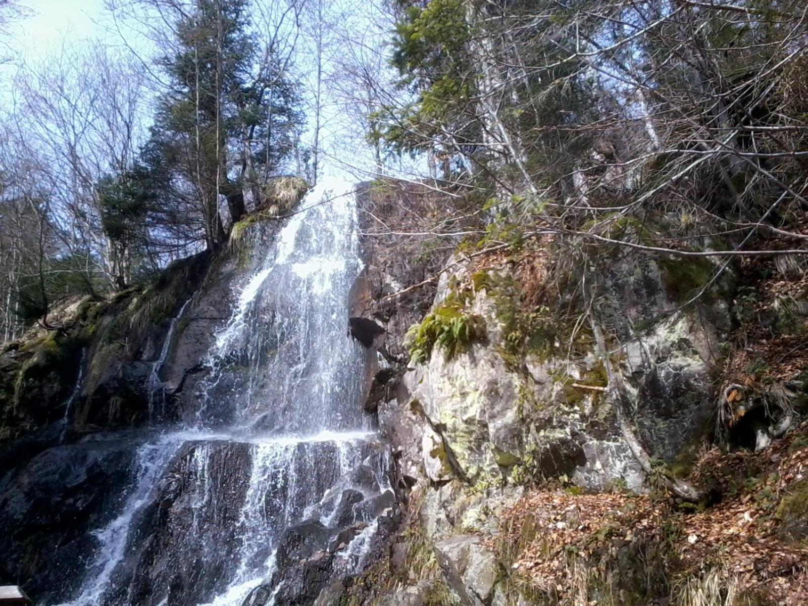 Marchal Le Hohwald